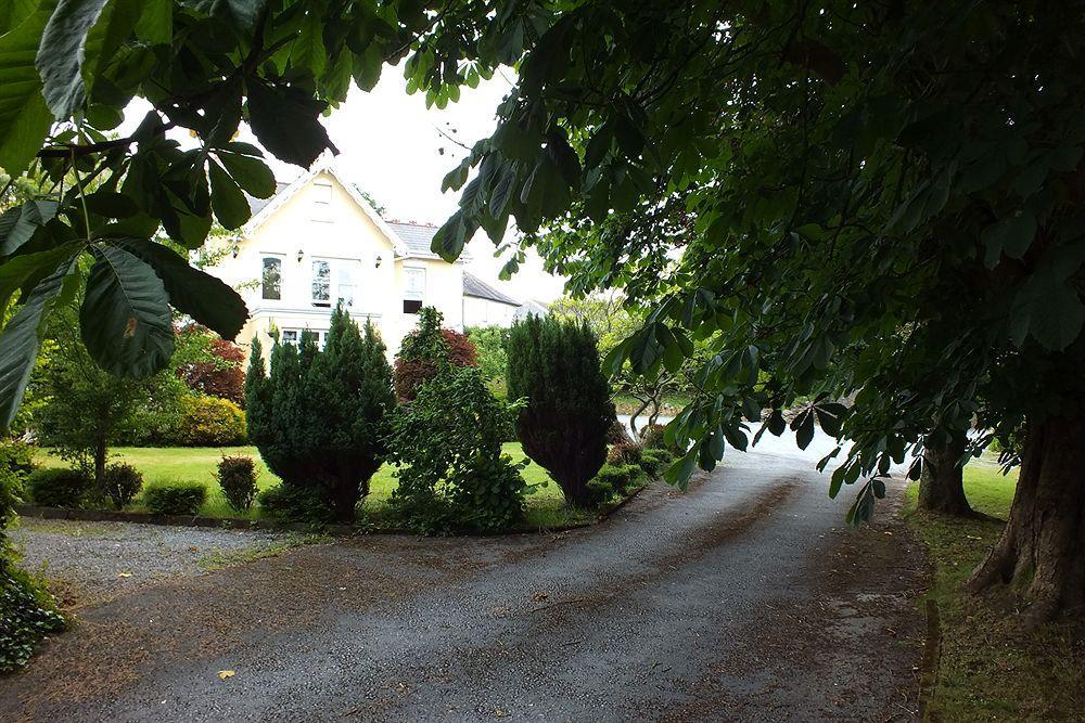 Llwyn Country House Llanelli Eksteriør bilde